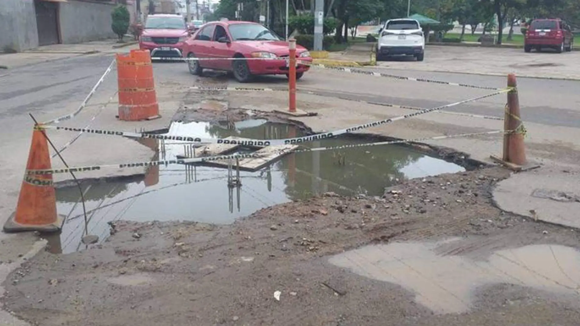 Bache-Carlos copia